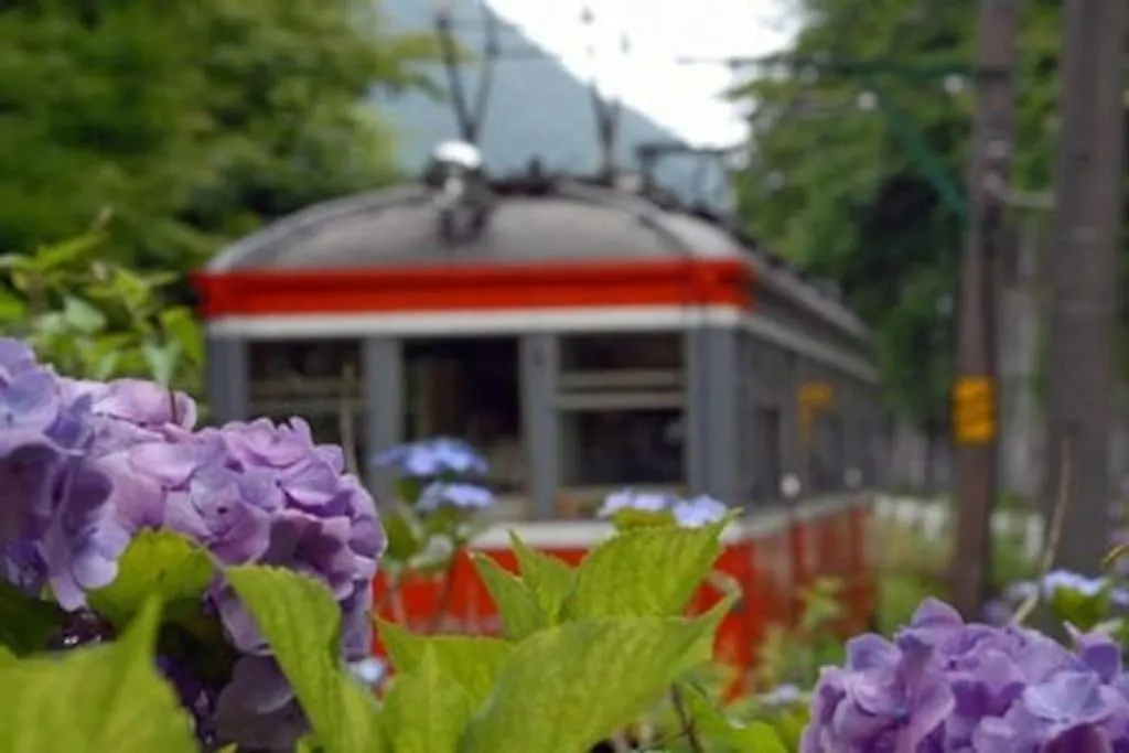 Вилла Ek House Hakone Shushinso 箱根修身荘