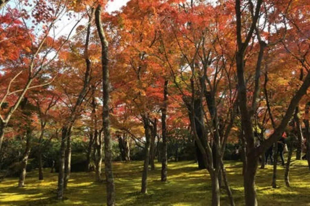 Ek House Hakone Shushinso 箱根修身荘 빌라